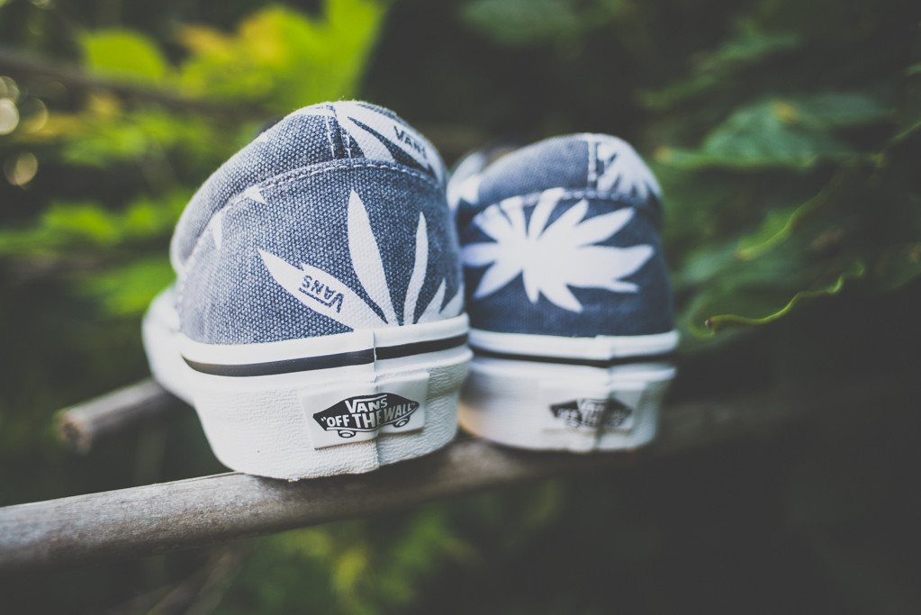 Vans Doren Era Navy Palm 04