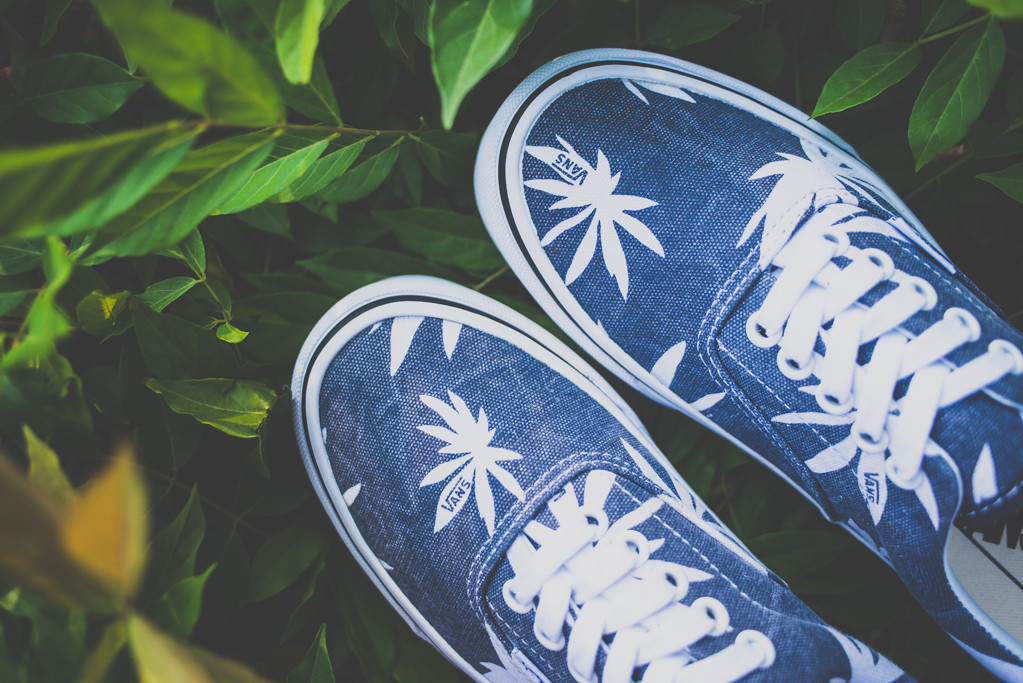 Vans Doren Era Navy Palm 05