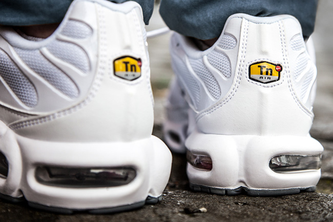 Nike Air Max Plus Casper 06