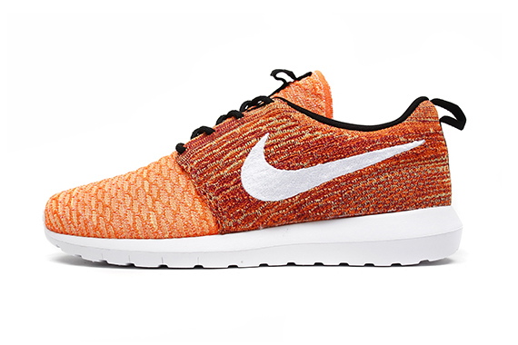 Nike Roshe Run Flyknit Special Collection 10