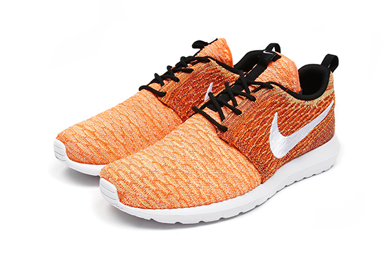 Nike Roshe Run Flyknit Special Collection 3