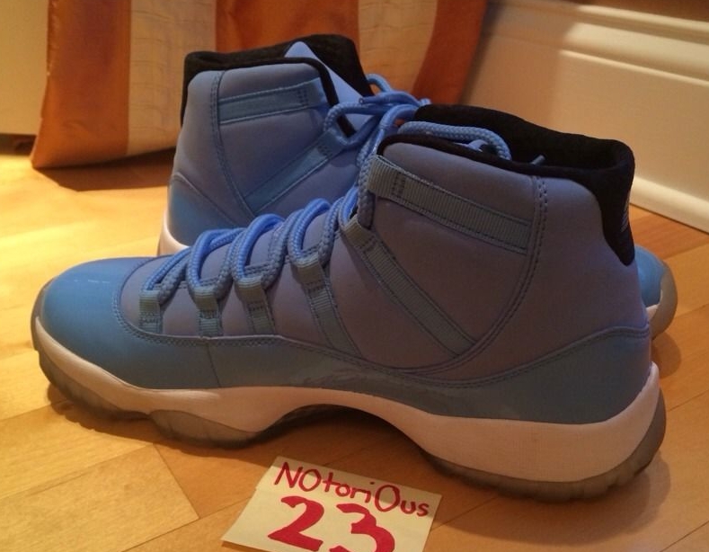 Pantone Jordan 11 041