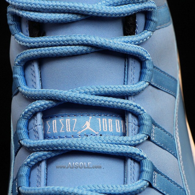 Pantone Jordan 11 06