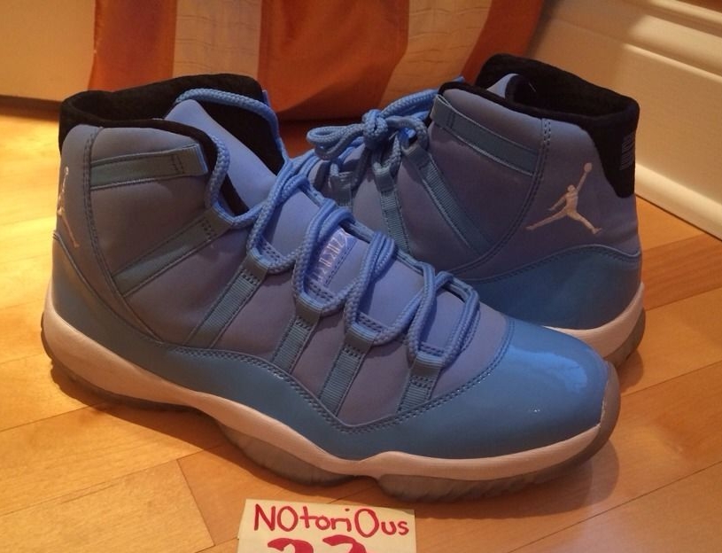 Pantone Jordan 11 061