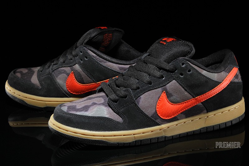 Nike Sb Dunk Low Brain Anderson 05