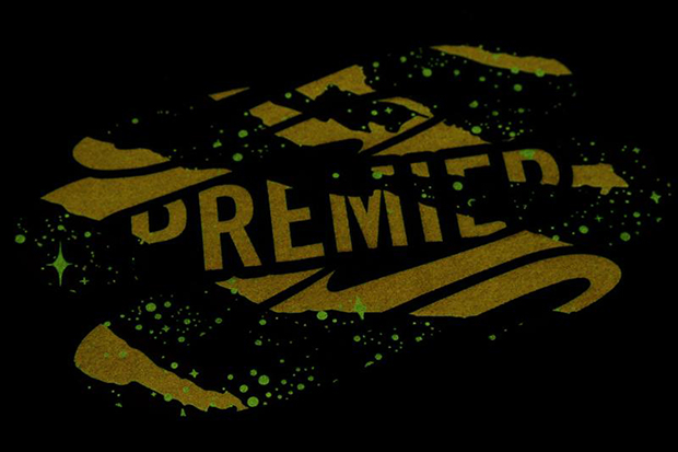 Premier Nike Sb Dunk Northern Lights Release Info 1
