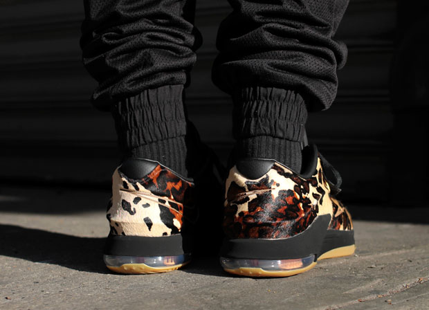kd 7 ext qs longhorn state