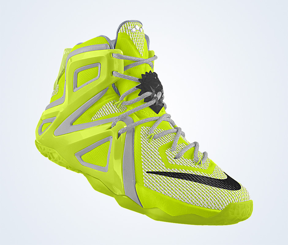 Lebron 12 Elite Id Dunkman