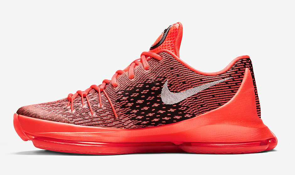 kd zoom 8