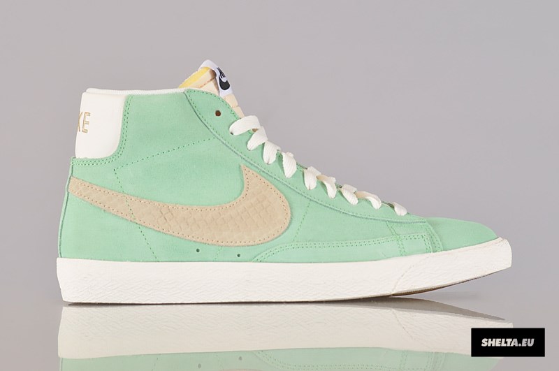 Nike Sb Blazer Pastel Snake Swoosh 10