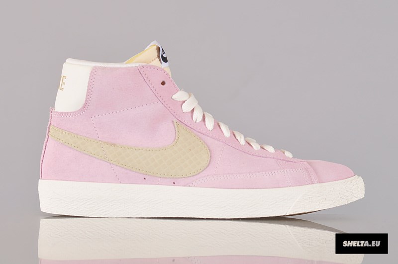 Nike Sb Blazer Pastel Snake Swoosh 18