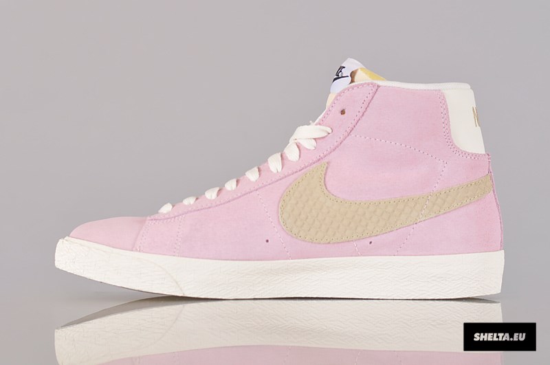 Nike Sb Blazer Pastel Snake Swoosh 19