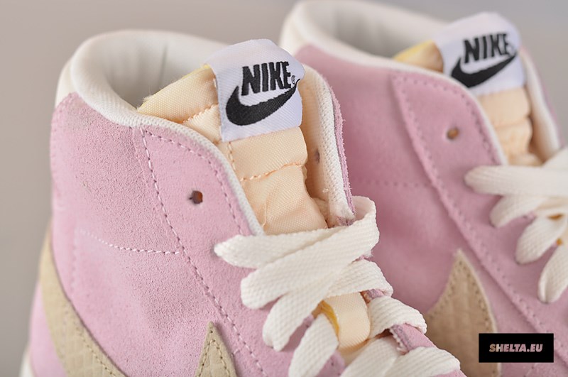 Nike Sb Blazer Pastel Snake Swoosh 22