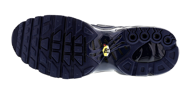 Nike Air Max Plus Obsidian 4