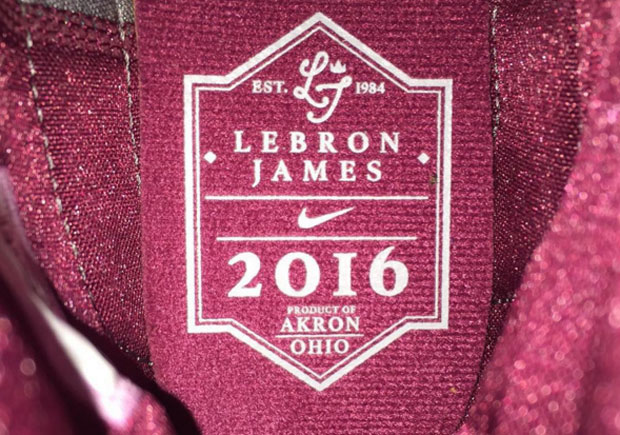 Nike Lebron 13 Wine