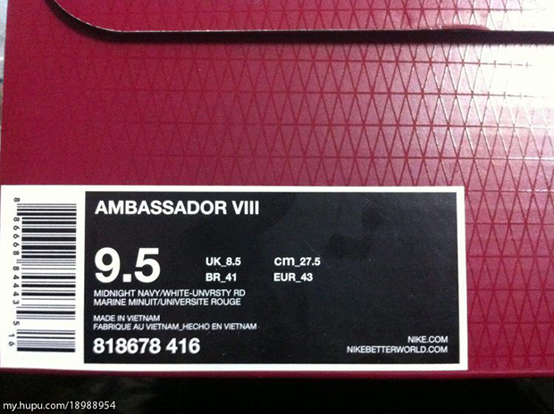 Nike Lebron Ambassador 8 Usa Asia Exclusive 07
