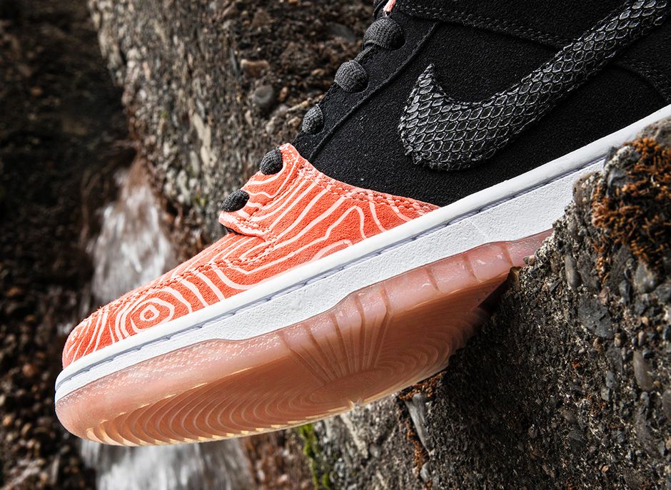 nike fish ladder