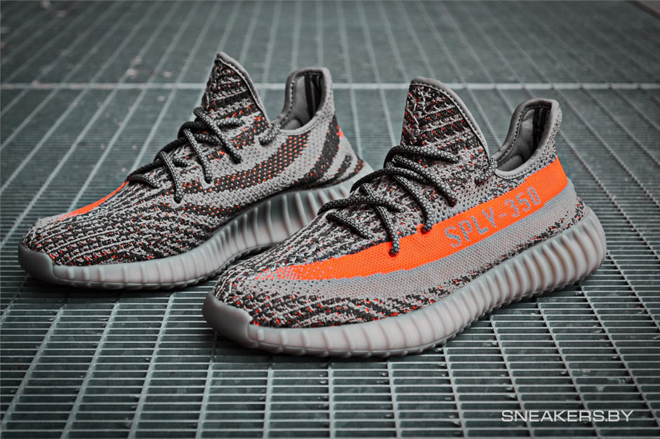 beluga sply 350