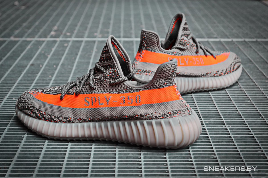 beluga 1.0 restock