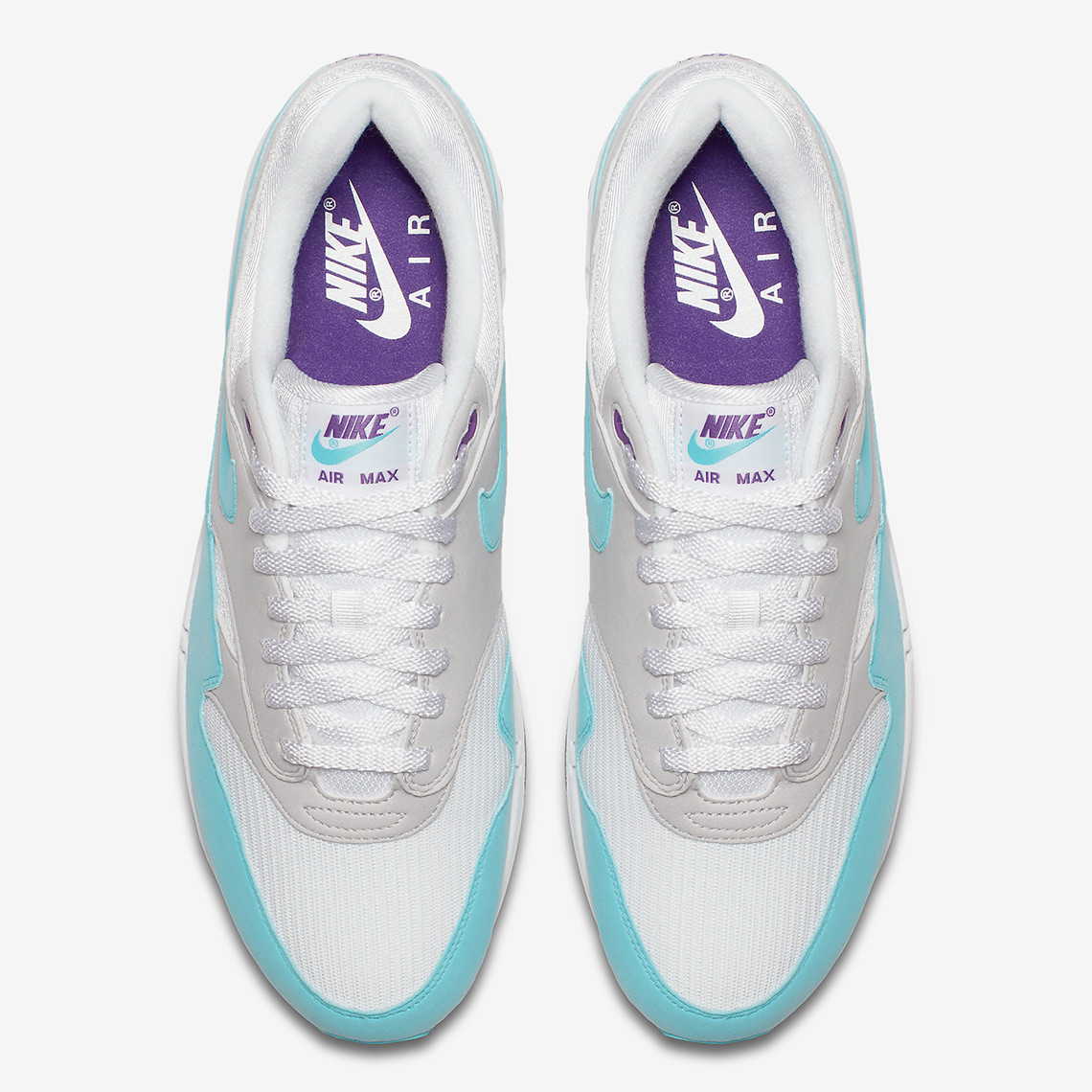 Nike Air Max 1 Anniversary 