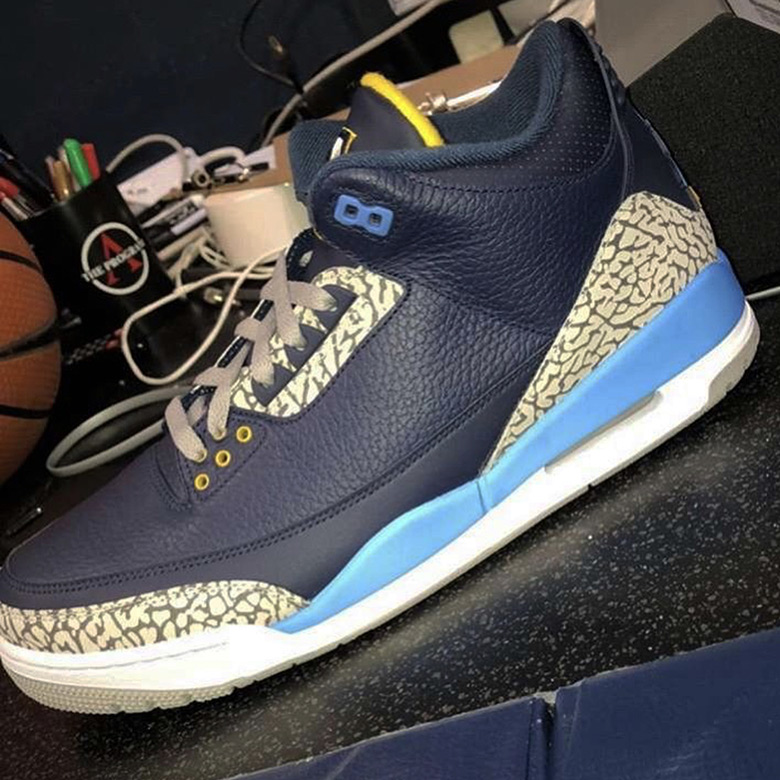 Michigan on sale jordan 3