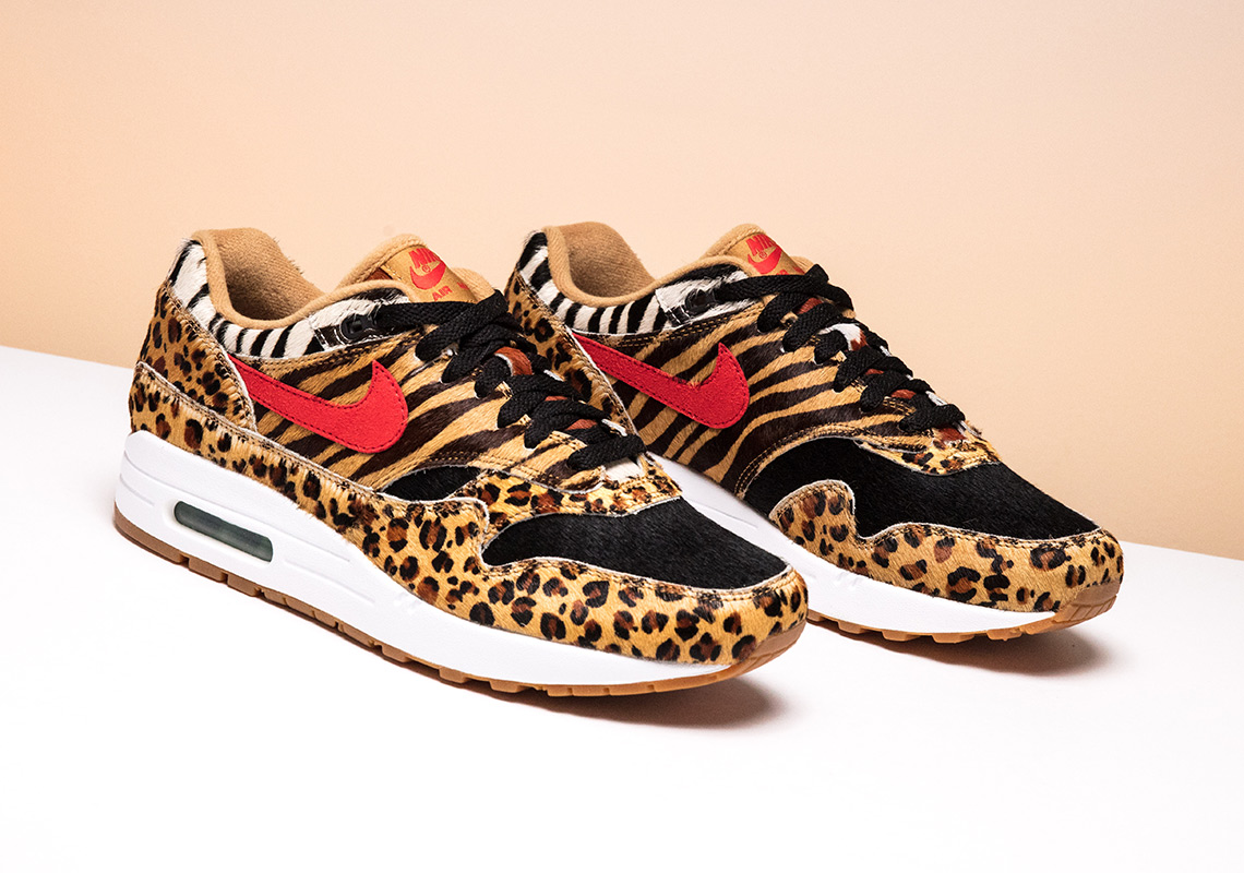 animal pack nike