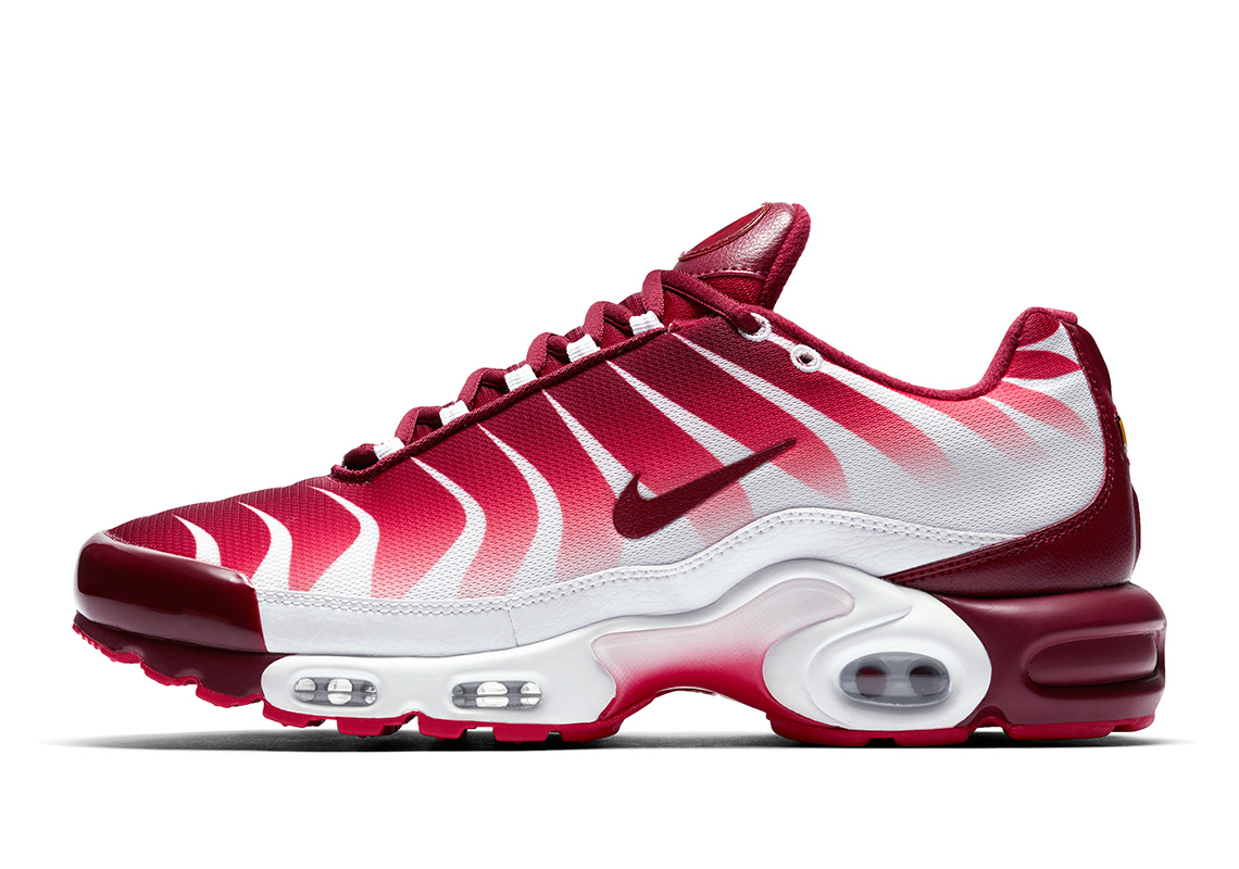 Nike Air Max Plus Before/After The Bite 
