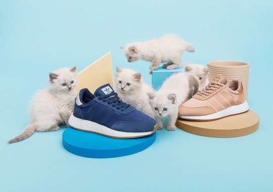 These Kittens Don’t Come With Sneakernstuff’s Next adidas Collaboration