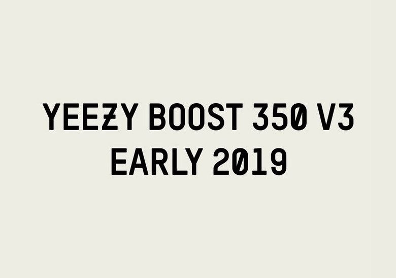 Adidas Yeezy Boost 350 V3 2019 1