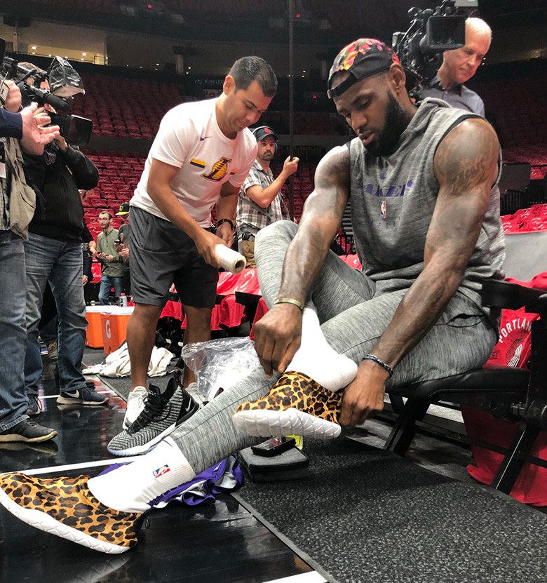what shoes are lebron james wearing tonight