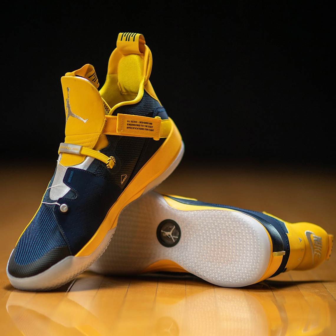 michigan jordan 33