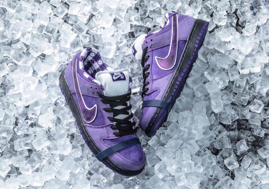 Where To Buy The CONCEPTS x Nike SB Purple Lobster Dunk