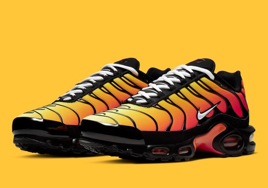 nike air max plus 852630 040 2