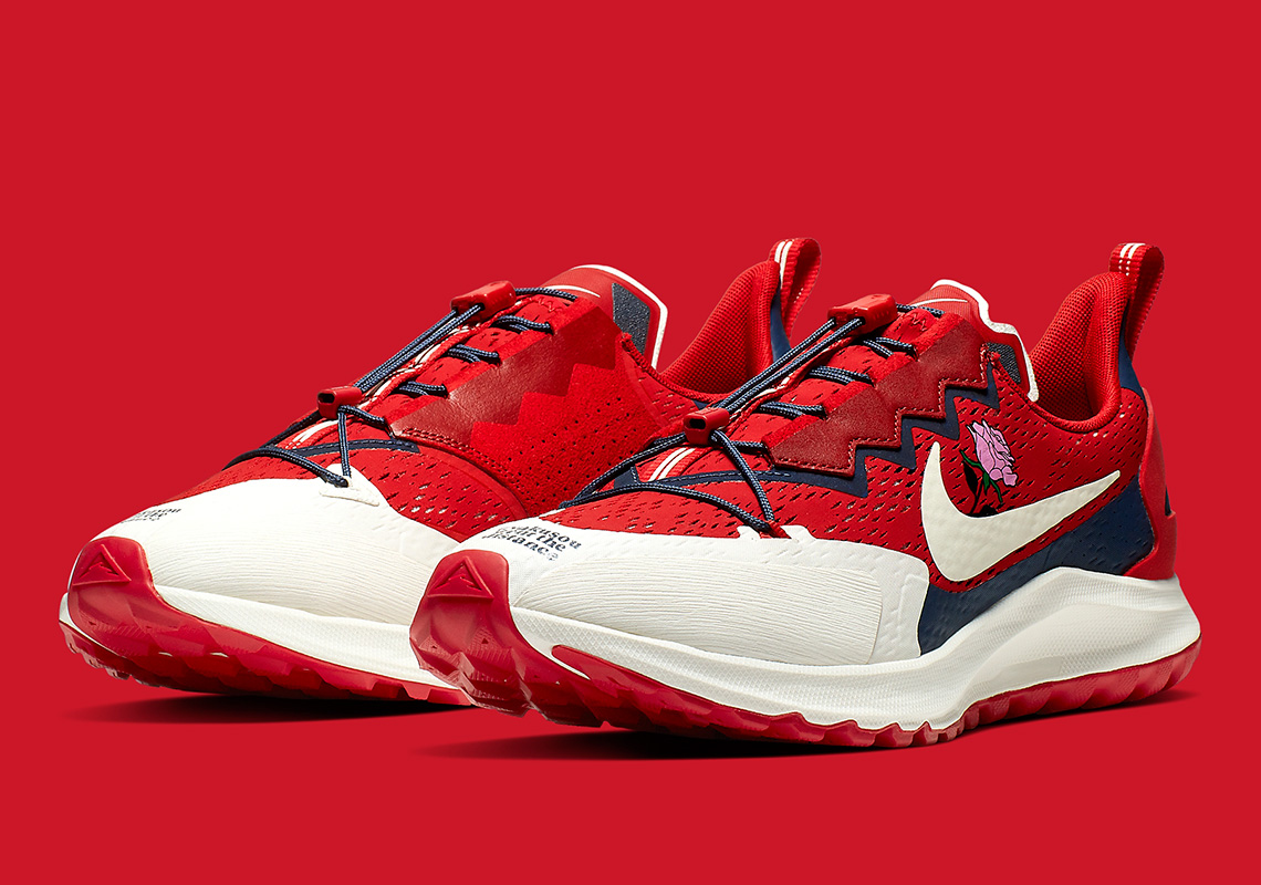 gyakusou pegasus 36 trail