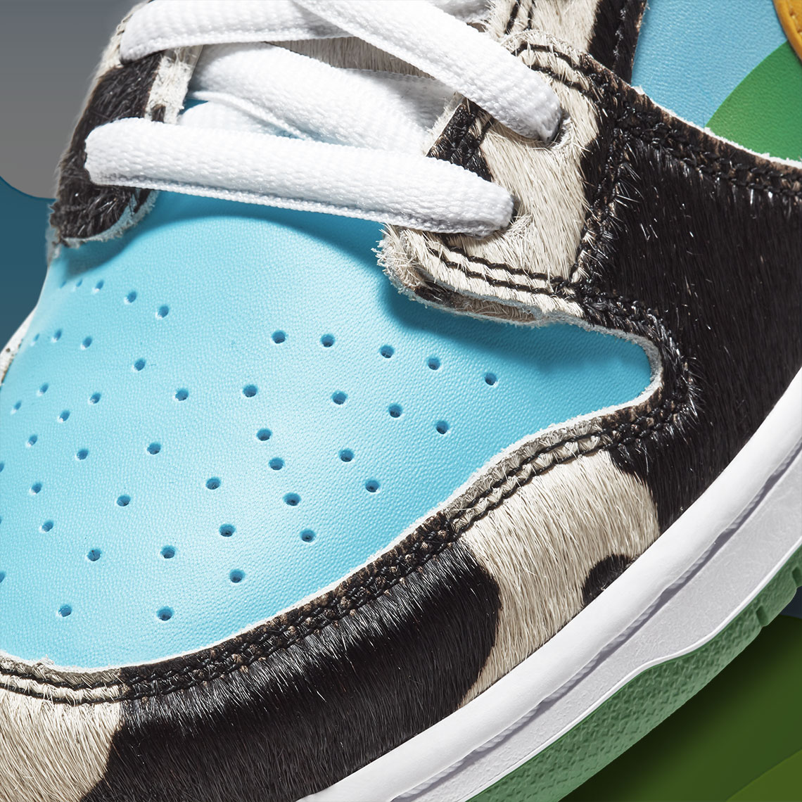 Ben Jerry's Nike SB Dunk 