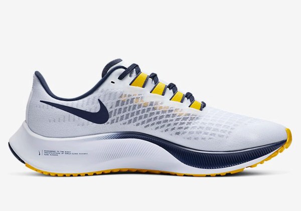 ncaa nike pegasus 38