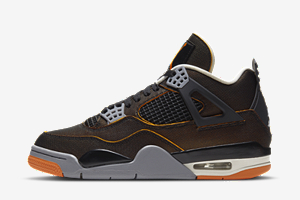 Air Jordan 4 "Starfish"