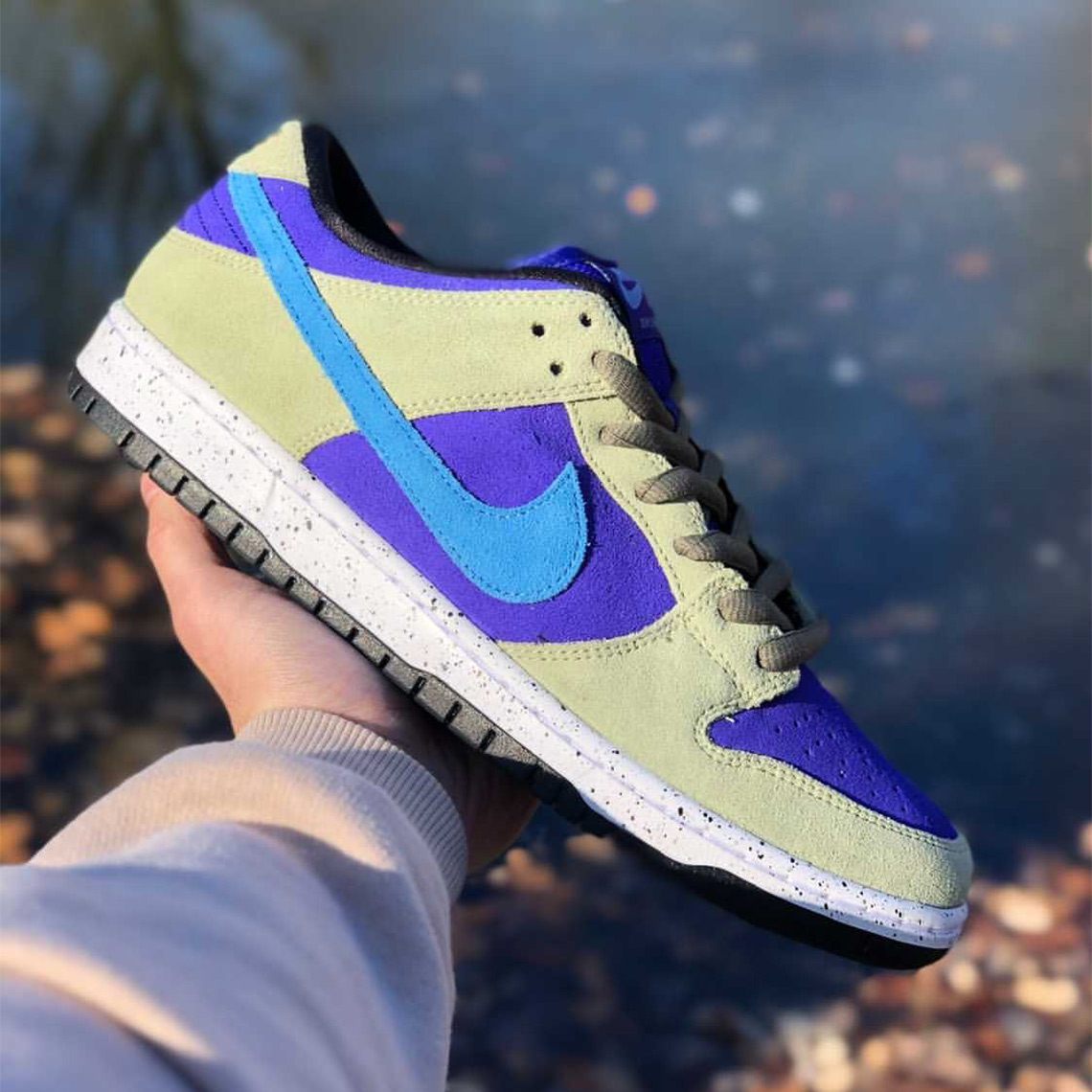 acg dunk low