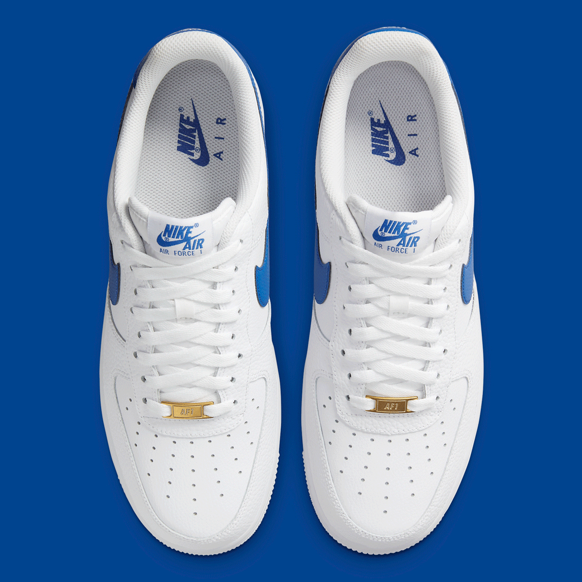 royal blue and white forces