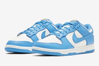 Nike Dunk Low Coast DD1503 100 07