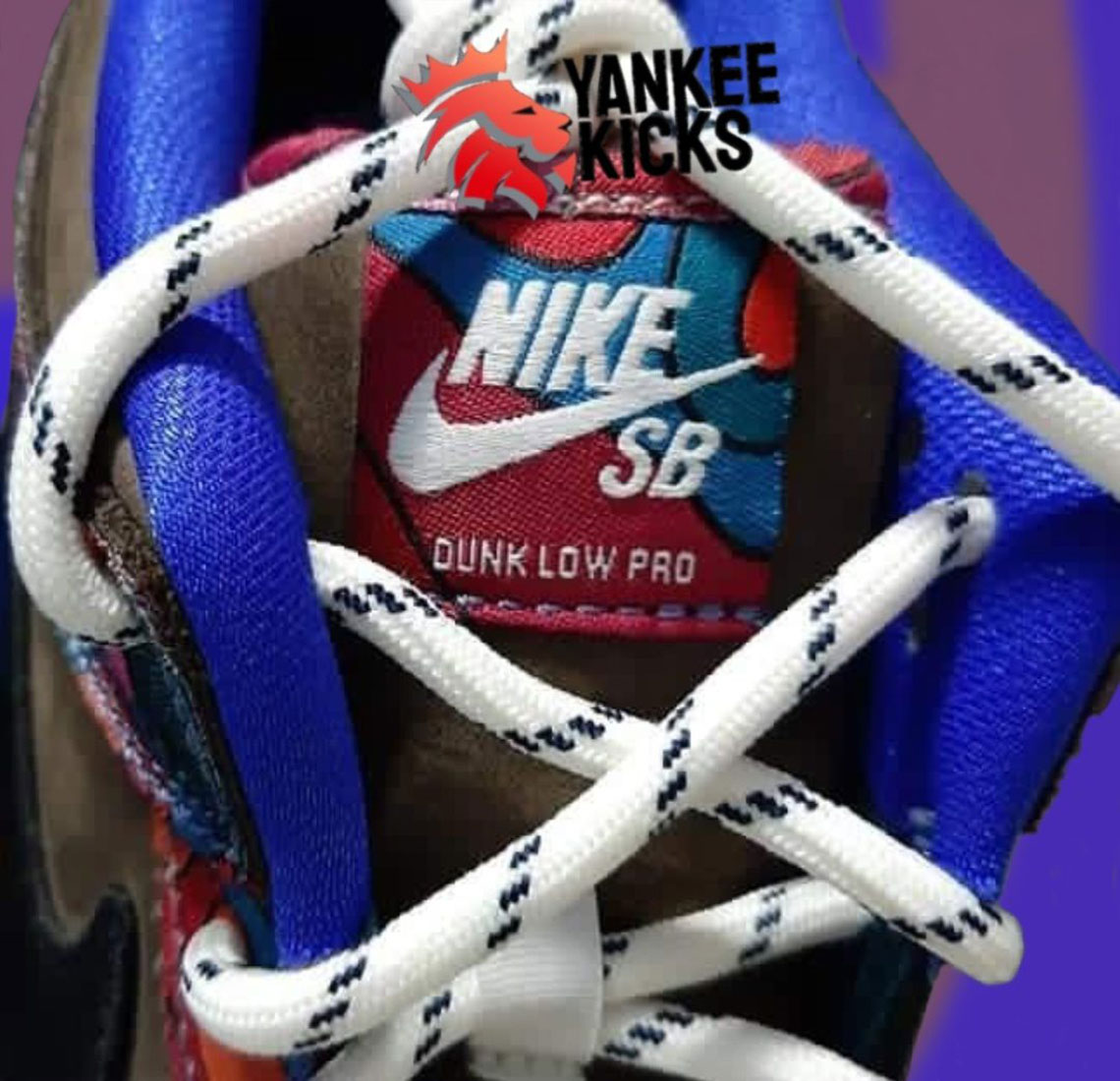 Parra Nike Sb Dunk Low Sample 2