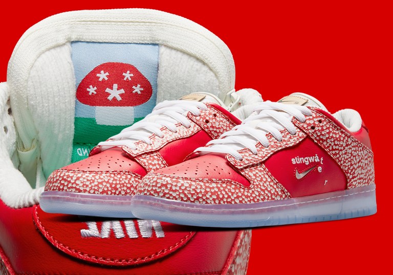 stingwater-nike-sb-dunk-low-  display picture 2