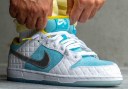 Nike SB Dunk Low Pro FTC