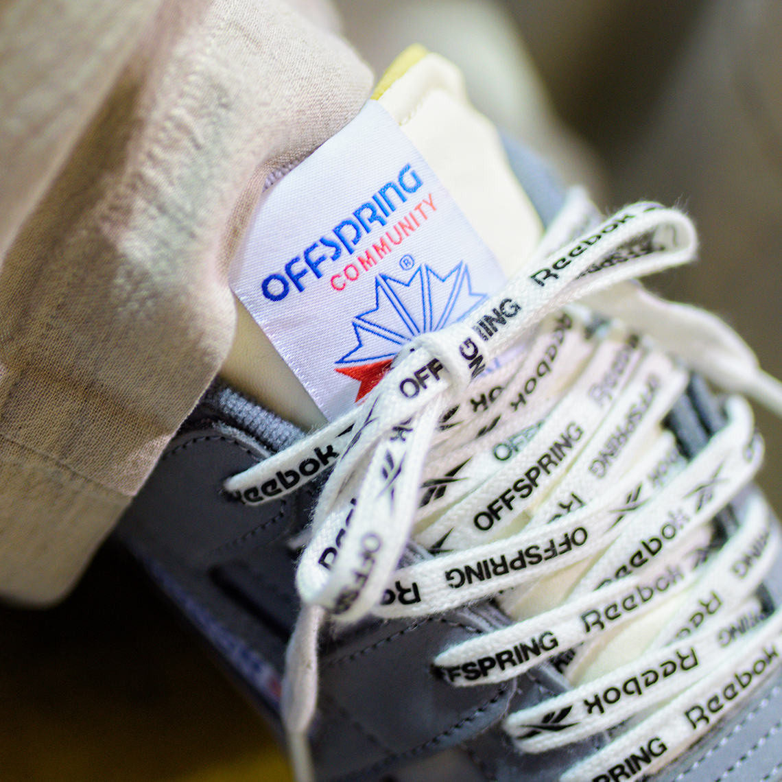 reebok x offspring