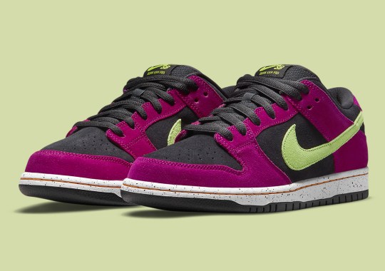 A Third ACG Terra Inspired Nike SB Dunk Low Appears