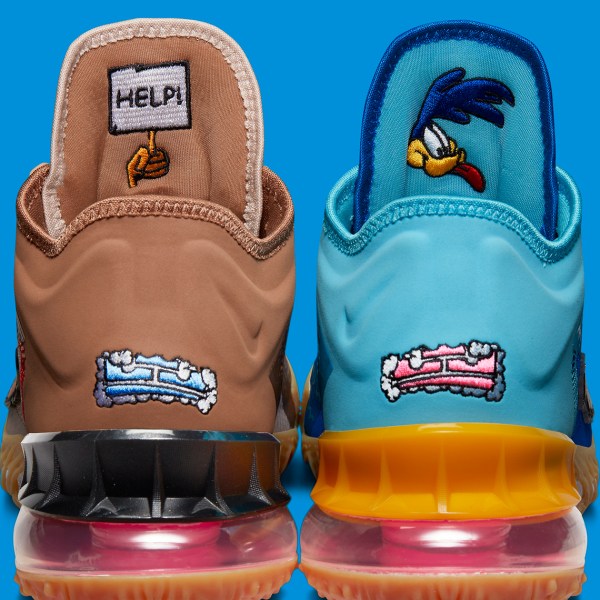 wile e coyote lebron shoes