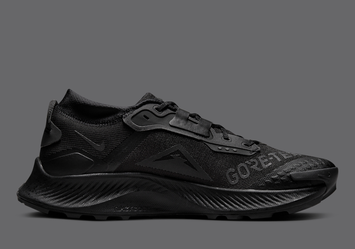 nike pegasus gore tex black