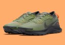 nike pegasus gore tex trail 3