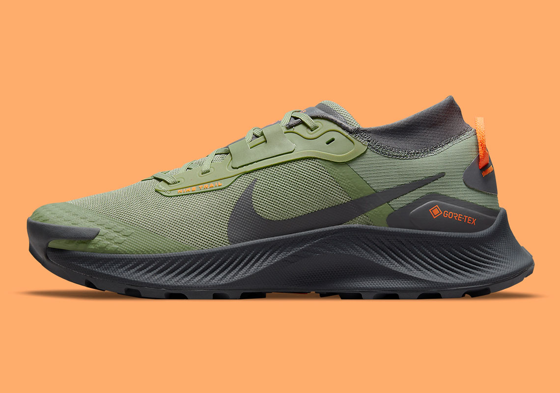 gore tex nike pegasus trail