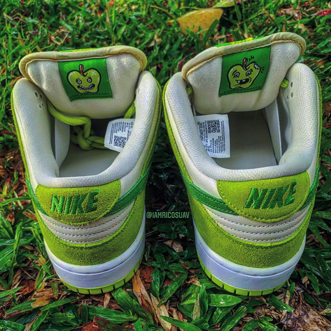 Nike Sb Dunk Low Green Apple Fruity Pack 1